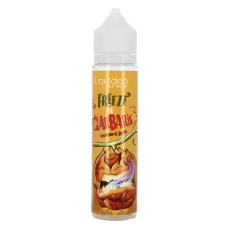 E-Liquide 50ml Figue de Barbarie - Freeze - Liquideo