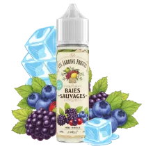E-Liquide 50ml Baies Sauvages  - J WELL