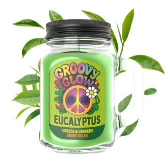 Eucalyptus - Bougie Groovy Glow