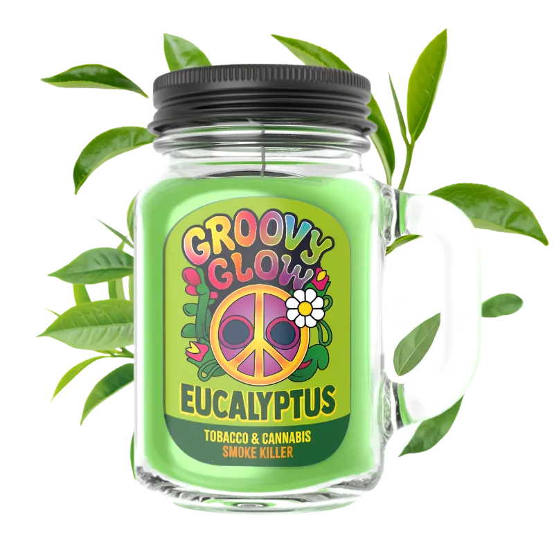 Eucalyptus - Bougie Groovy Glow