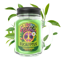 Eucalyptus - Bougie Groovy Glow
