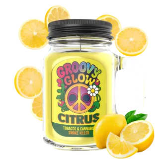Citrus - Bougie Groovy Glow