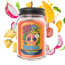 Tropical - Bougie Groovy Glow